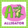 Letter A uppercase cute children colorful zoo and animals ABC alphabet tracing flashcard. Learning card for kids. English Vocabula